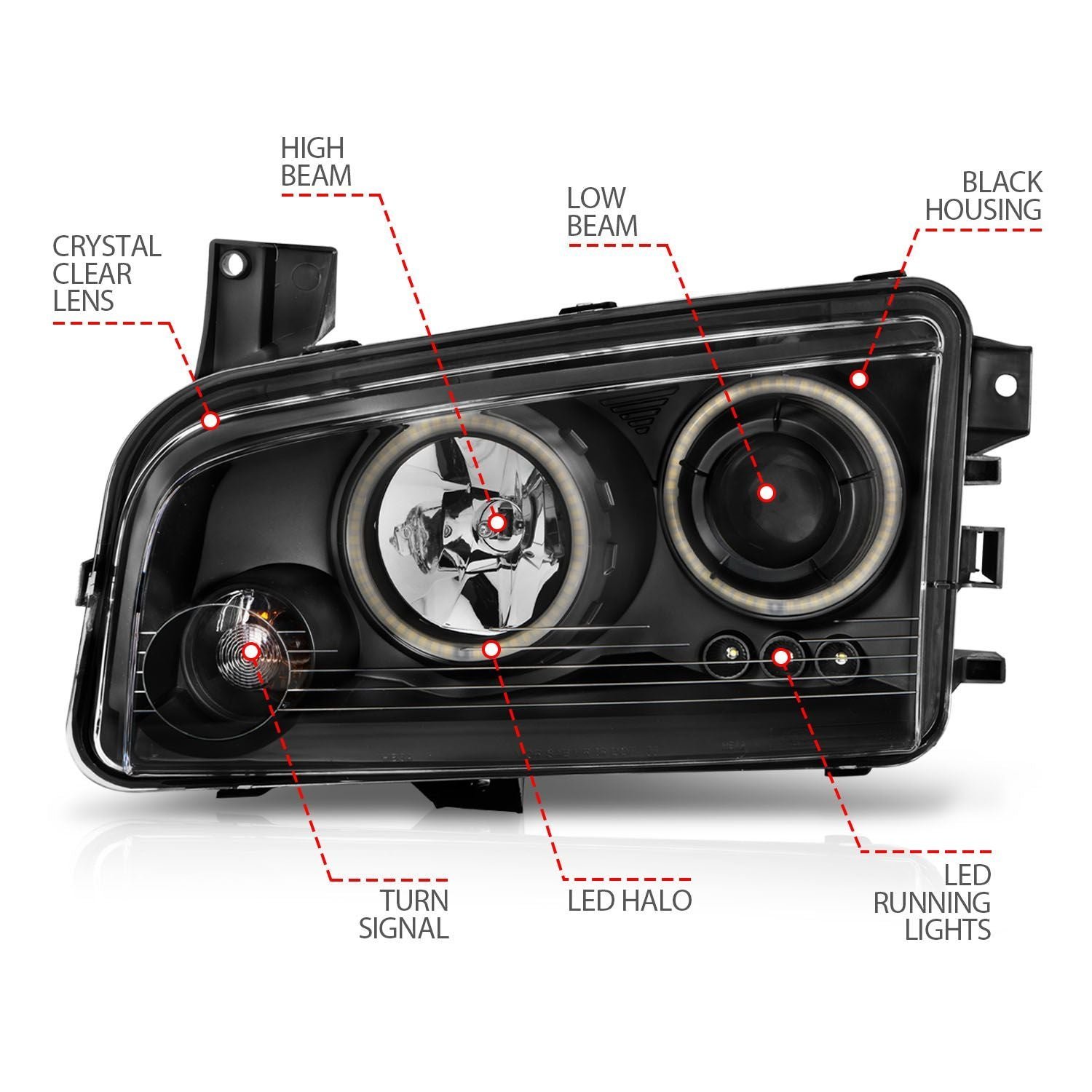Dodge Charger 06-10 Projector Headlights Black W/Rx Halo - Image 4