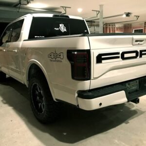 Ford F150 18-20 (Replaces OEM LED) Tail Lights OLED in Smoked - Image 5