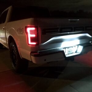 Ford F150 18-20 (Replaces OEM LED) Tail Lights OLED in Smoked - Image 3